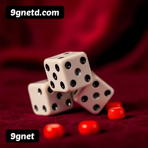 Certificações de segurança da 9gnet