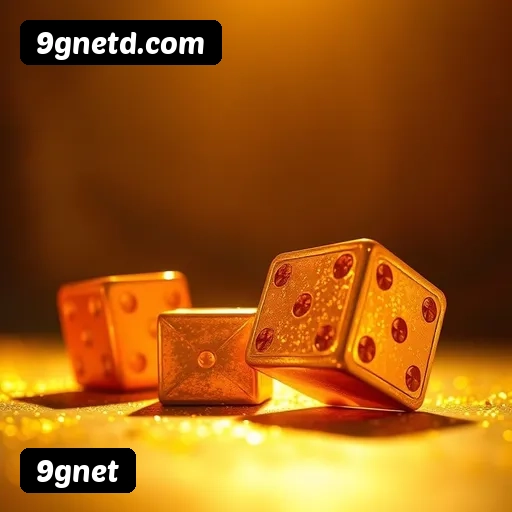 Níveis do programa VIP da 9gnet